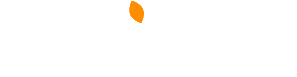 Ginjer-info
